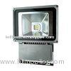 FL22100 AC220V/100W No UV or IR Led Landscape Lighting Fixtures with Bridgelux Chip