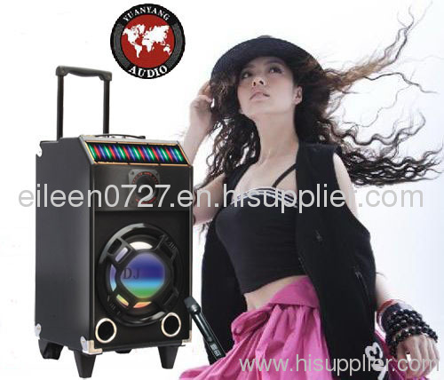 Movable Speaker with professional dj equipment