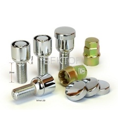 Plastic Cap Wheel Lock Bolt Ball Seat