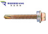 Self Drilling Screw