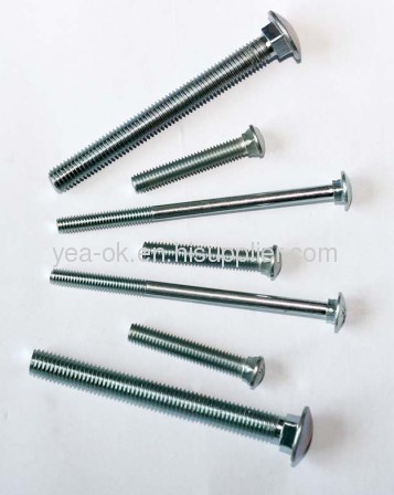 Carriage Bolt/Mushroom Head Square Neck Bolt/DIN603