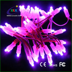 5mm Pink LED Exposed String Light