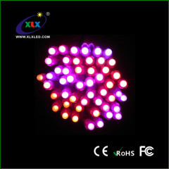 Full-color LED exposed string light