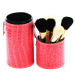 cosmetics brushes with case