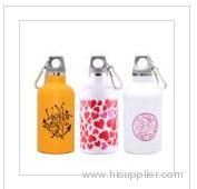 stainlee steel sport bottle