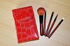 red travel brush set with case