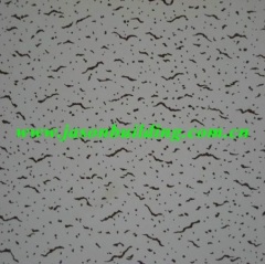 Pvc faced gypsum board