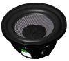 12&quot; dual voice coil subwoofer