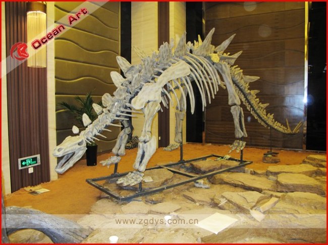 life size dinosaur skeleton replicas for sale