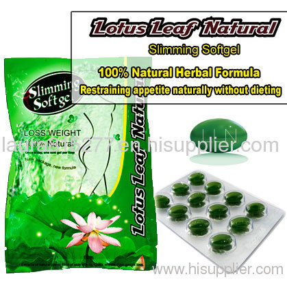 Lotus leaf new developed herbal weight loss formula