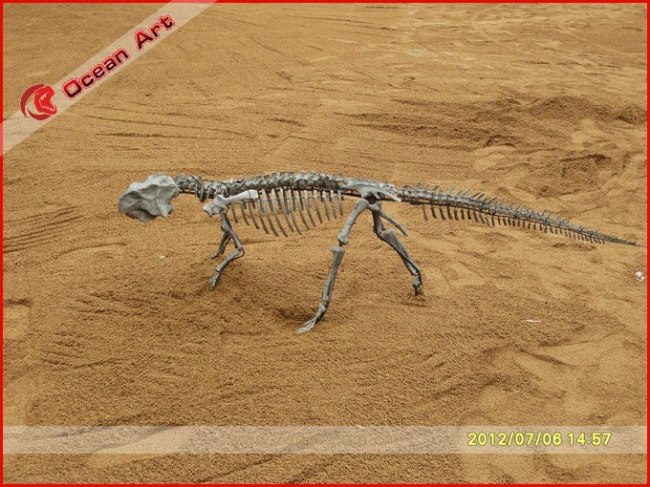 buy real dinosaur fossils