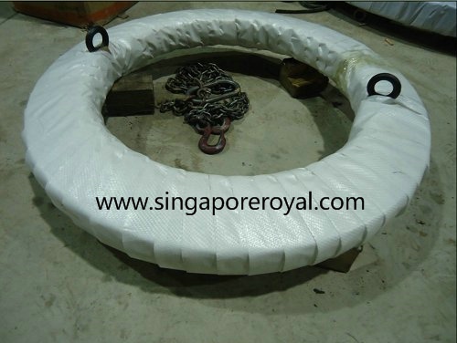 Sewage Treatment Plant slewing bearing ring