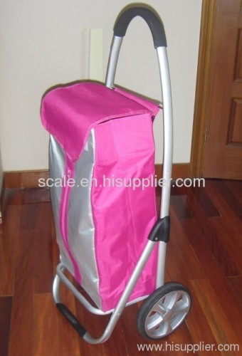 Aluminium Frame Trolley Bag