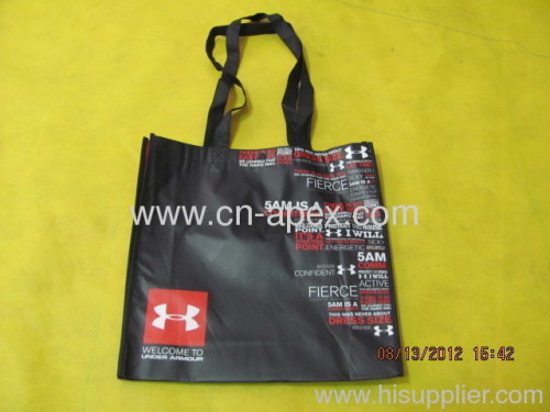 2013 Fashion shopping bag