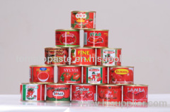 canned tomato paste