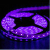 Purple Flexible LED Strip light with 12V Non-waterproof SMD5050 LED and 60 LED/M