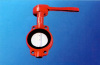 Manual Butterfly Valve-D71X