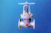 Rising Stem Gate Valve