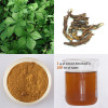 Siberian Gingseng Plant Extract