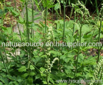 Black Cohosh Plant Extract