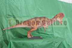 hot sale dinosaur model