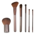 Fashion Cosmetic Brush Set