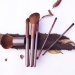 Fashion Cosmetic Brush Set