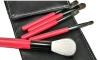Best Travel 5PCS with Mirror Makeup Cosmetic Brush Set (JDK-BSSS-861)