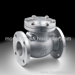 ANSI lift check valve