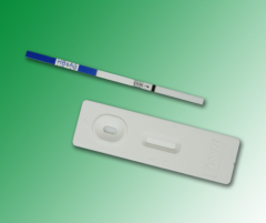 Hepatitis B virus surface Antigen (HBsAg) rapid test