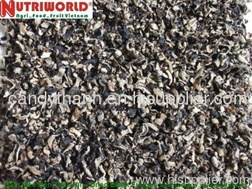 black fungus scrap