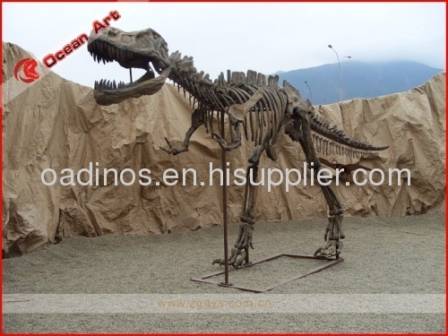 Realistic Life-size dinosaur skeleton