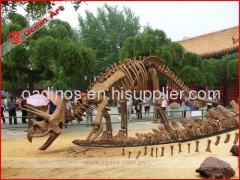 Simulated dinosaur skeleton of Triceratops