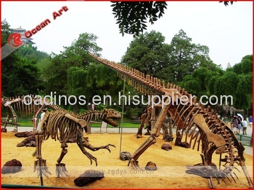 OEM service dinosaur skeleton