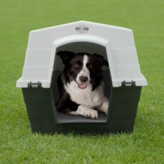 plastic dog house