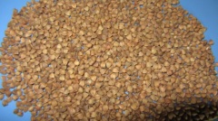 2012buckwheat kernel