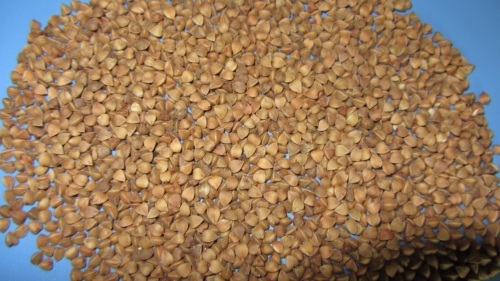 2012buckwheat kernel