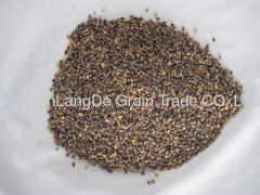 2012 new Buckwheat kernel