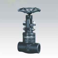 Forged steel valve