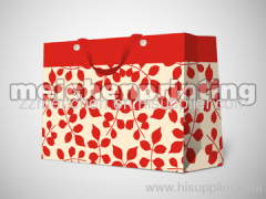 Paper Shopping Bag