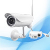 DWINTEK P2P H.264 Wireless Outdoor Waterproof IP Network Camera