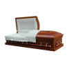 cardboard coffin American style