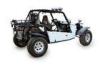 200 kg Carrying Capacity, 1300mm Front-Wheel Gauge, 26KW/5500rpm Mini Quads PYT600-EEC