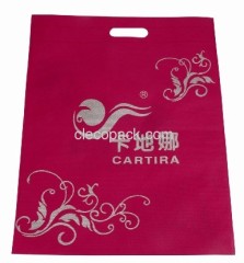 Promotion non woven bag