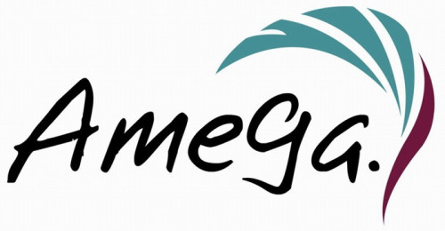 Well Mega International Ltd