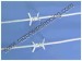 Single Barbed Wire