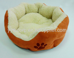 fashionable pet product