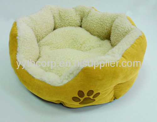 fashionable pet product