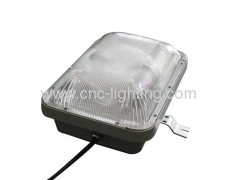 Induction Low Bay light