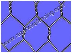 Hexagonal wire netting